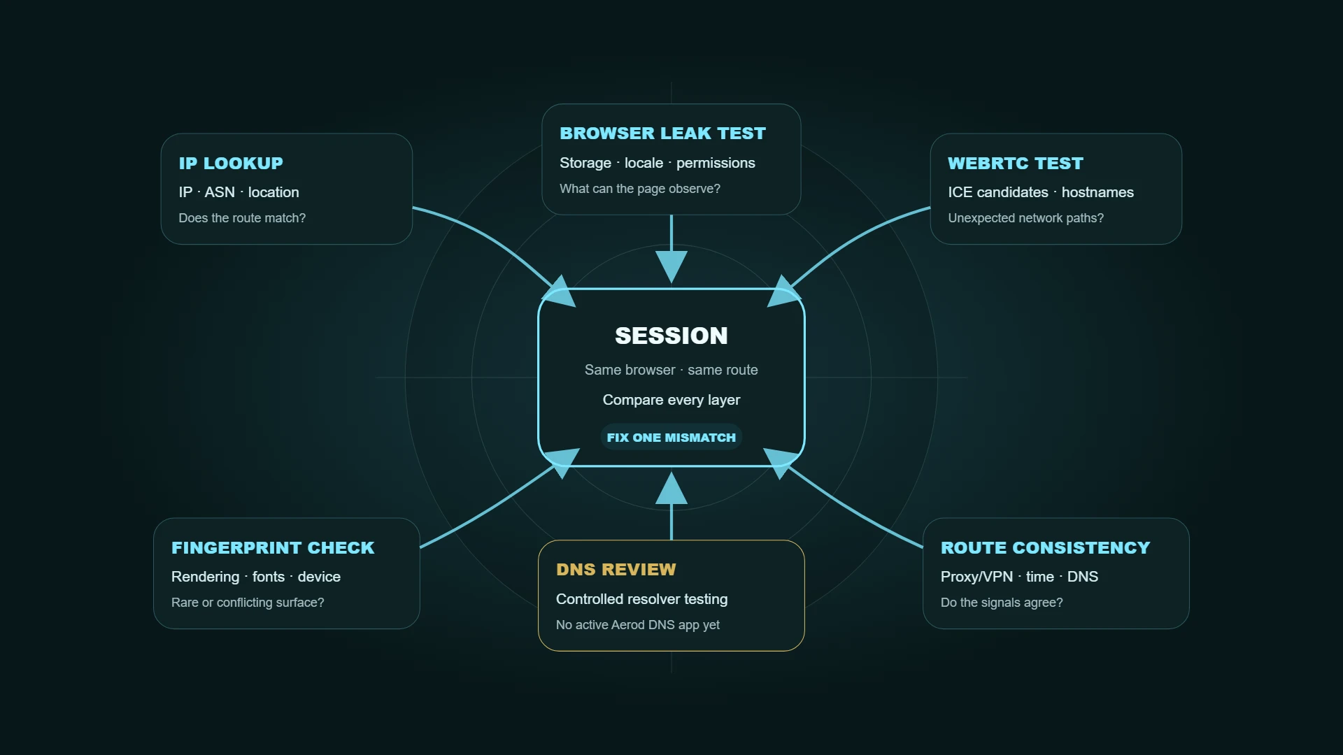 Browser leak testing workflow connecting IP Lookup, Browser Leak Test, WebRTC Leak Test, Browser Fingerprint Check, Proxy VPN Detection, and DNS review