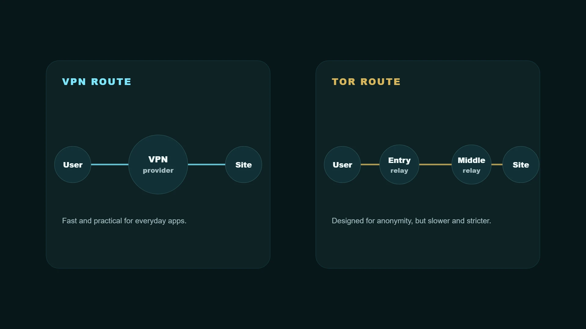Diagram comparing a VPN route and a Tor route through multiple relays before reaching a website